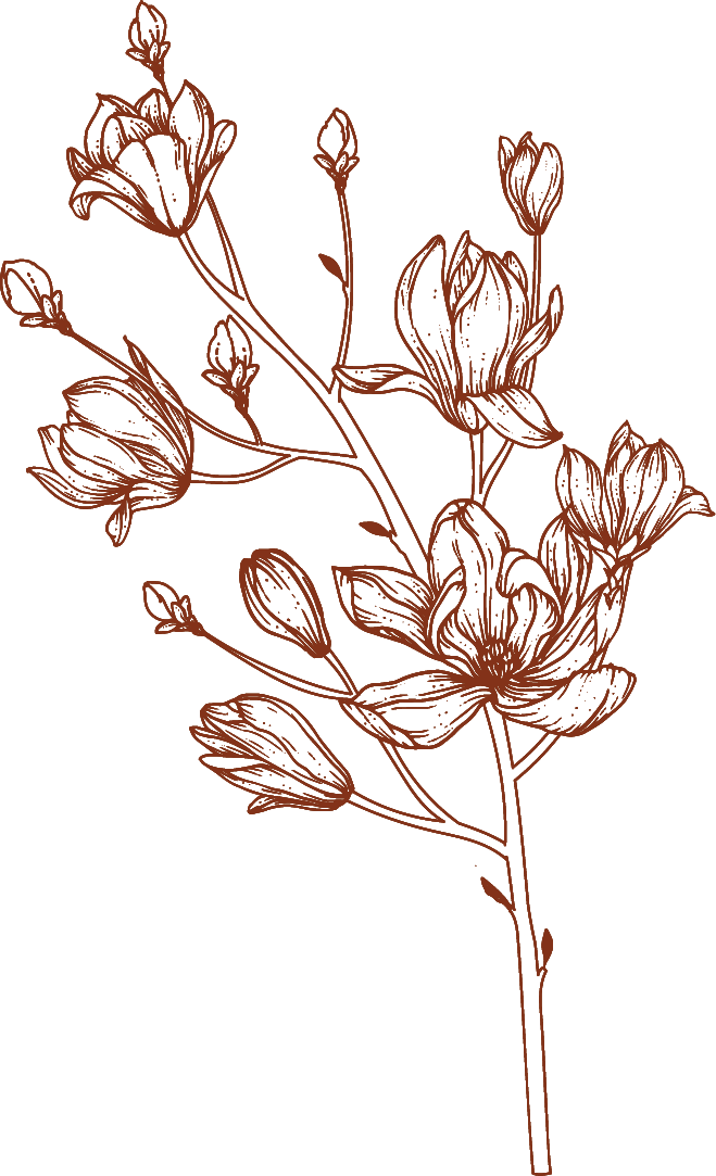 leaf-brown3.png