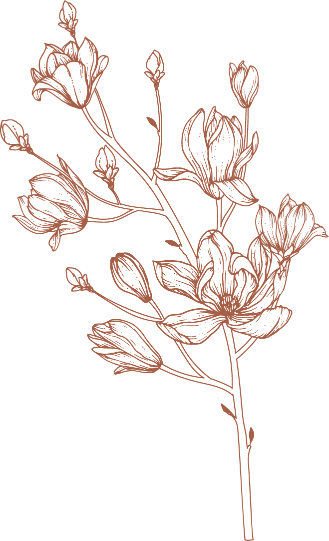 leaf3.png