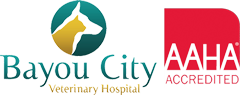 Bayou City Veterinary Hospital Logo